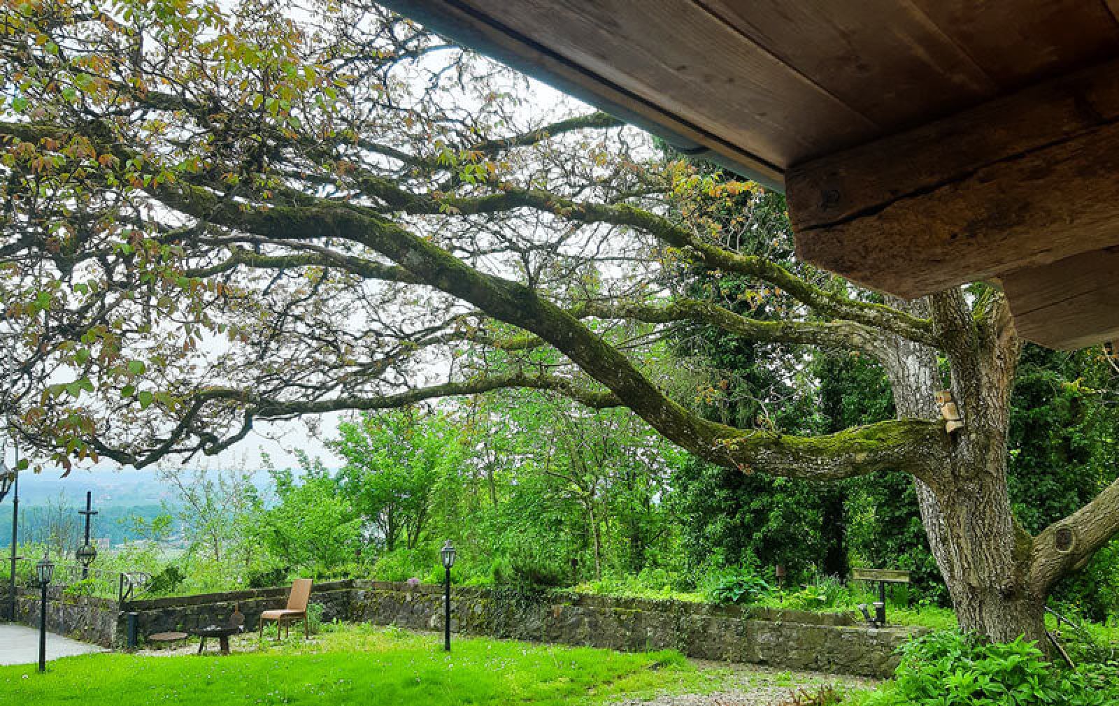 Burg3 Aussen Blick auf Burgmauer und Landschaft